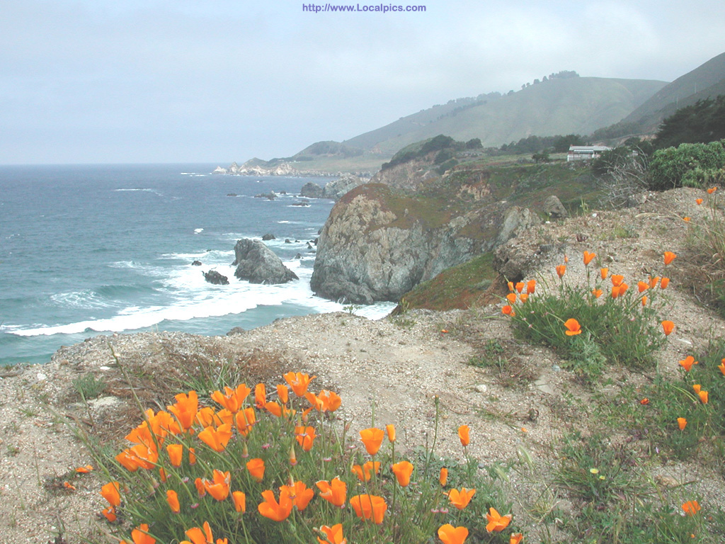 Big Sur Desktop / 7 Big Sur HD Wallpapers | Backgrounds - Wallpaper