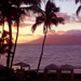 Maui Screen Savers