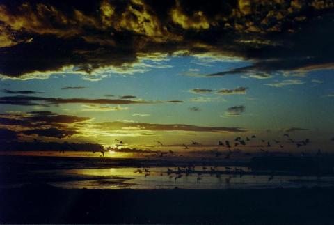 sr_golden_sunset_sm.jpg (19567 bytes)