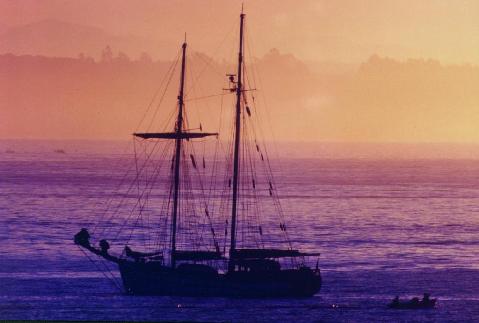 sr_boat_capitola_sm.jpg (19929 bytes)
