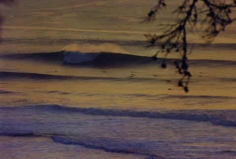 sr_fall_ocean_beach_sm.jpg (21786 bytes)