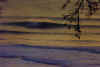 sr_fall_ocean_beach_sm.jpg (21786 bytes)